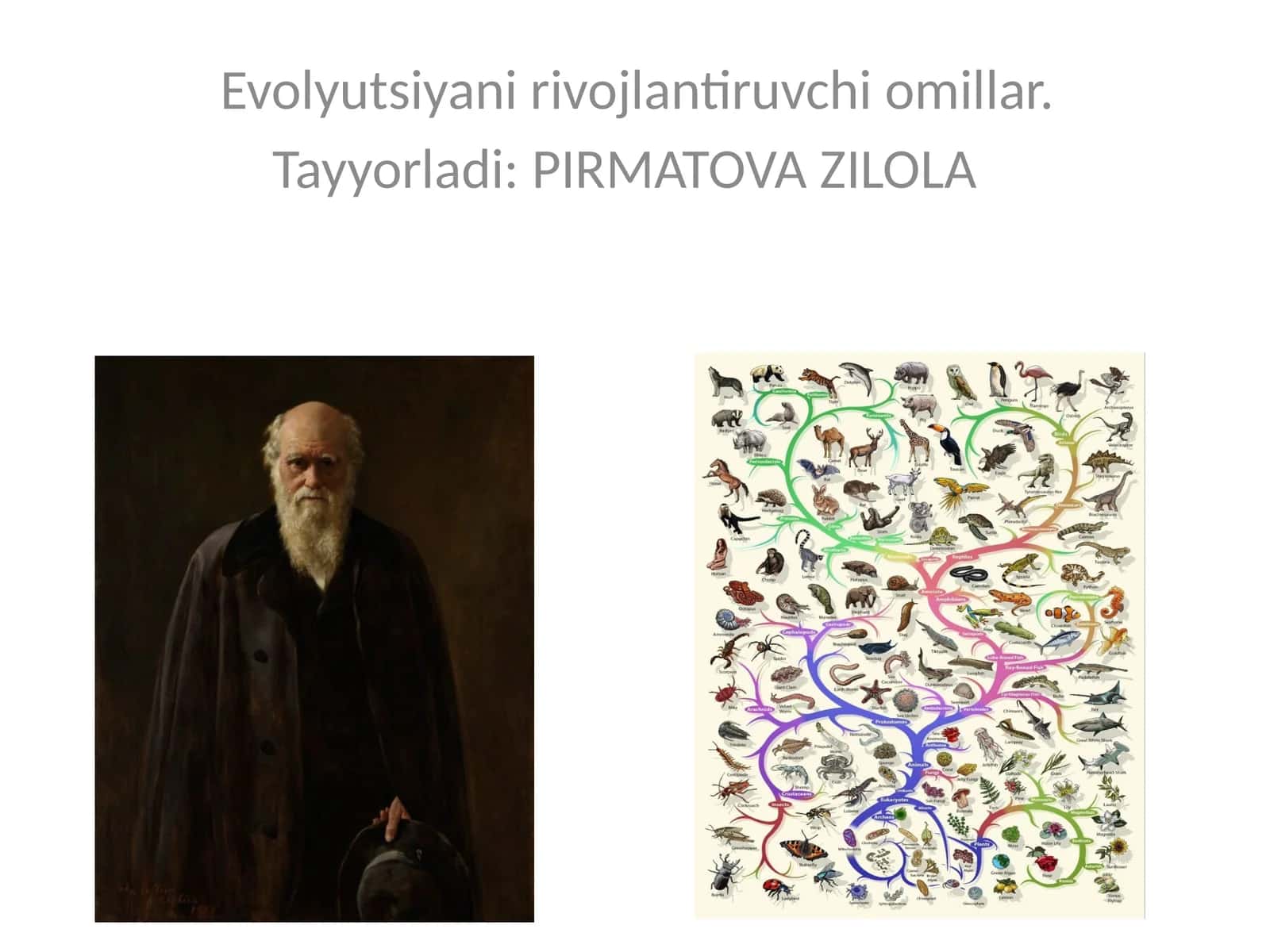 Evolyutsiyani rivojlantiruvchi omillar