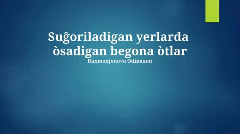 Begona O'tlar