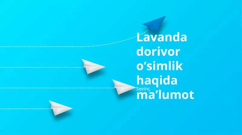 Lavanda Yetishtirish va Parvarishi
