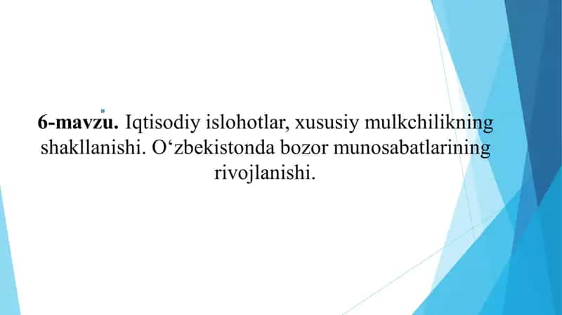 Ma’ruza mashg’uloti rejasi