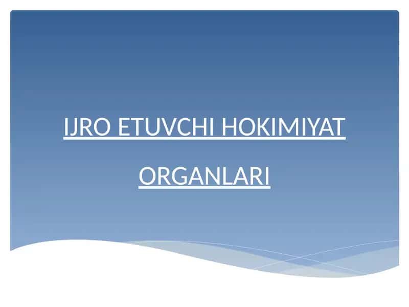 IJRO ETUVCHI HOKIMIYAT ORGANLARI
