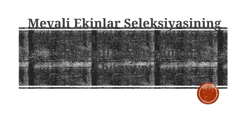Mevali Ekinlar Seleksiyasining BogʻDorchilikda Tutgan OʻRni Va Jadallashtirishdagi Ahamiyati