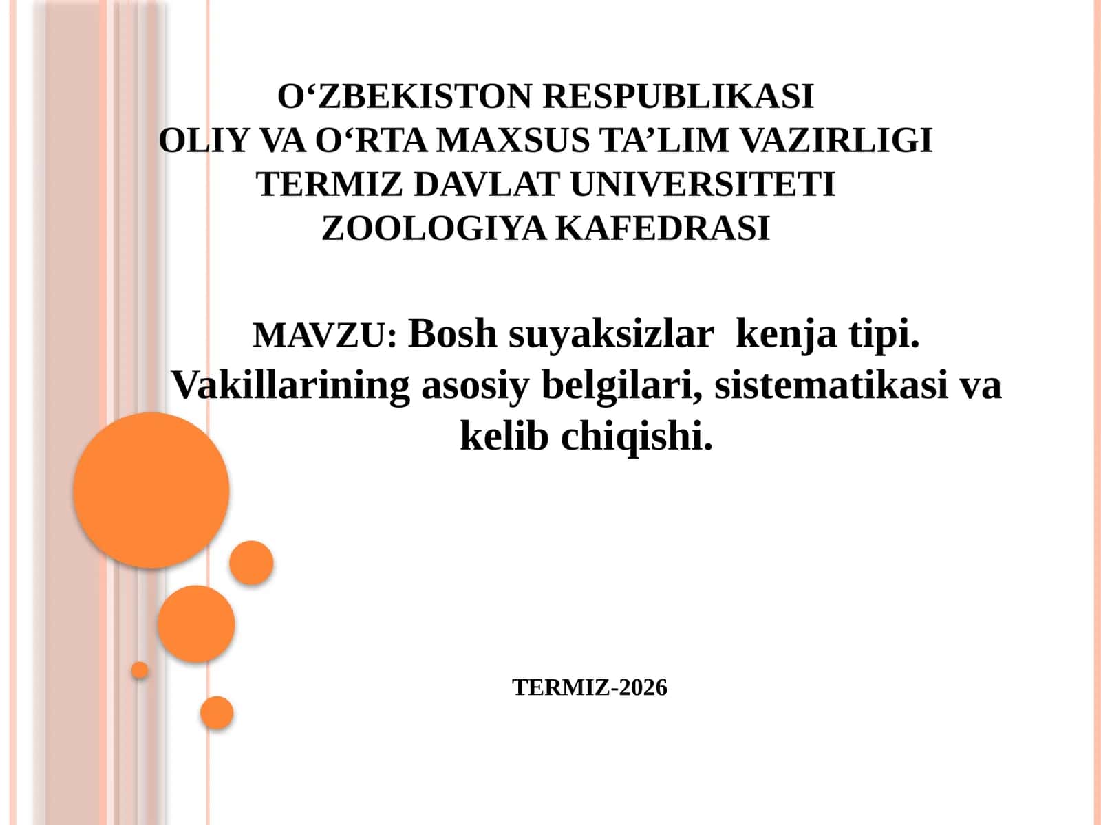 Boshsuyaksizlarkenjatipi.Vakillariningasosiybelgilari,sistematikasivakelibchiqishi