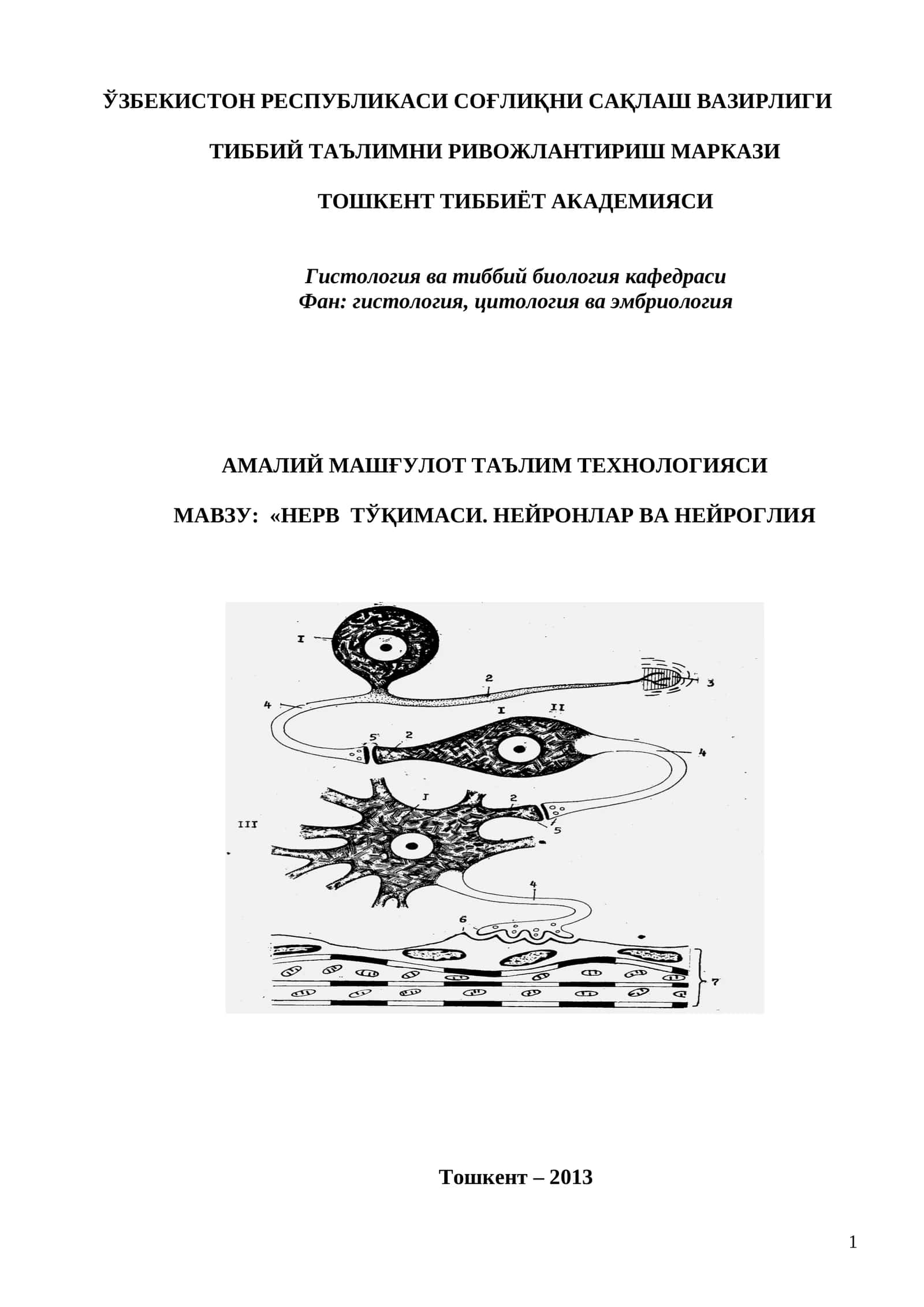 НЕРВ ТЎҚИМАСИ. НЕЙРОНЛАР ВА НЕЙРОГЛИЯ