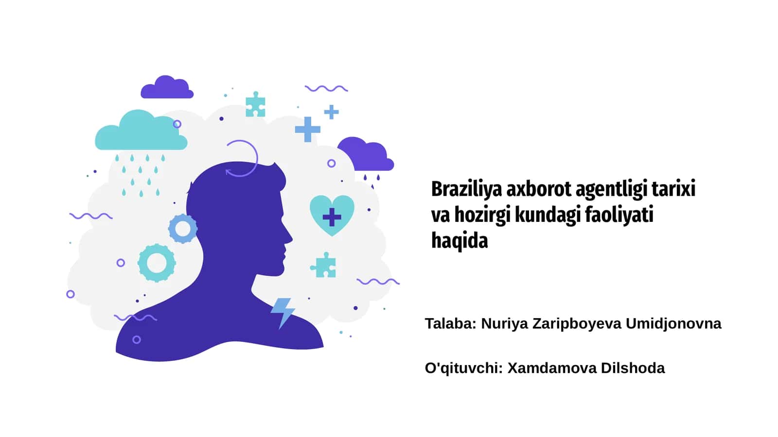 Braziliya Axborot Agentligining Tarixi