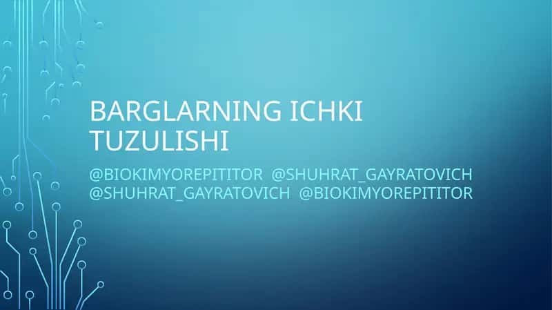 BARGLARNING ICHKI TUZULISHI