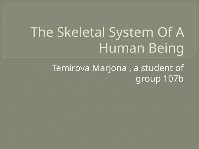 The Skeletal System of A Human Being