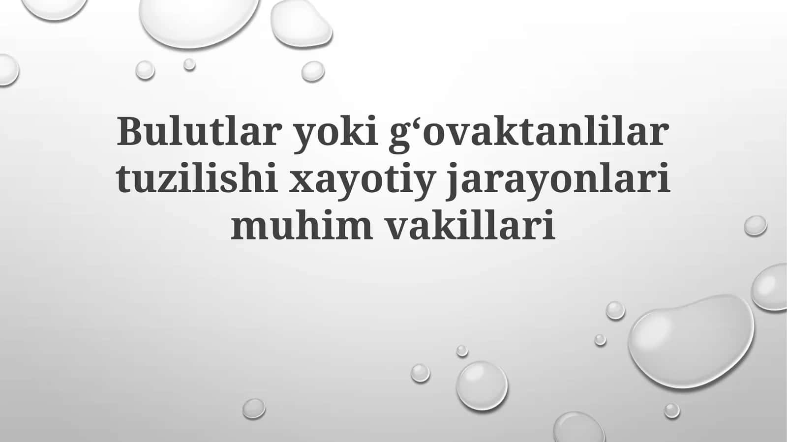 Bulutlar va gözenekli tuzilmalarning global ekosistemlardagi o'zaro ta'siri