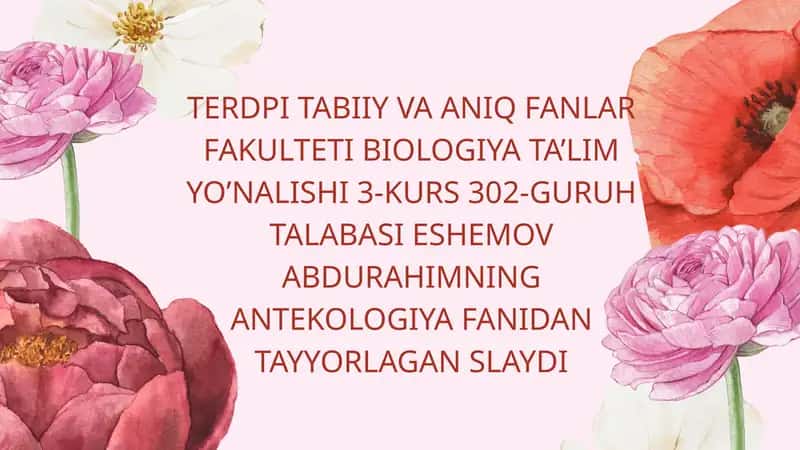 OCHIQ XAZMAGAM TIPDA CHANGLANISH