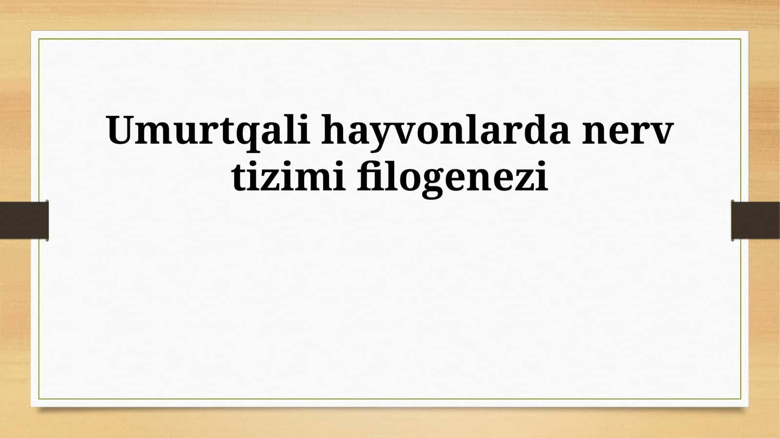 Umurtqali hayvonlarda nerv tizimi filogenezi