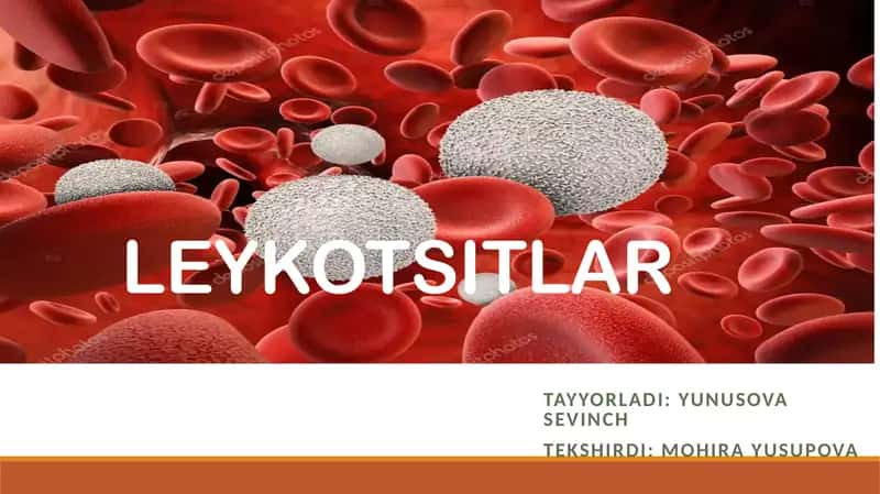 LEYKOTSITLAR