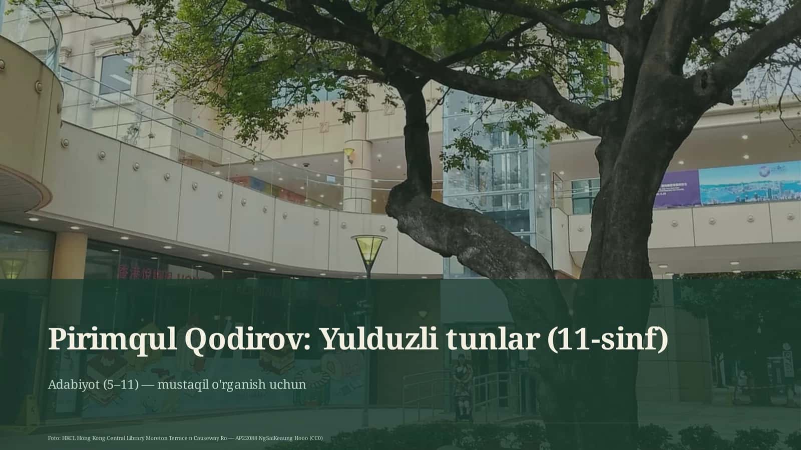 Yulduzli tunlar (11-sinf)