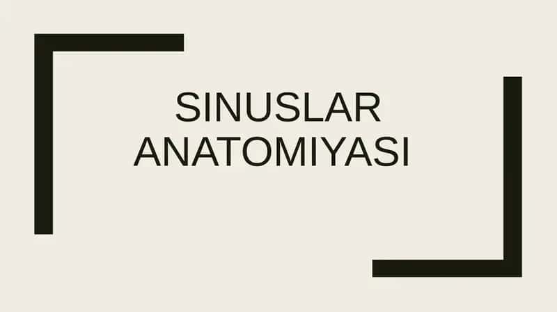 Sinuslaranatomiyasi