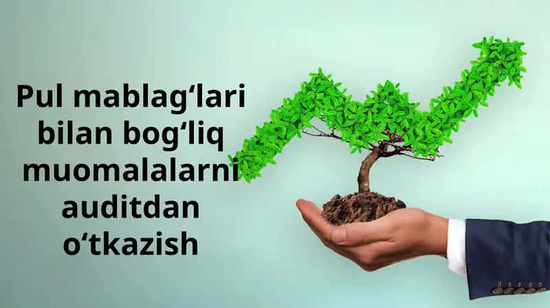 Pul mablag‘lari bilan bog‘liq muomalalarni auditdan o‘tkazish