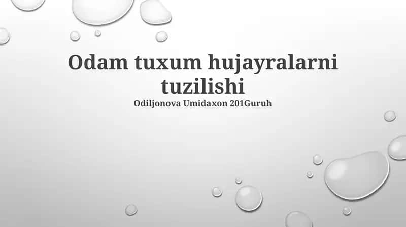 Inson tuxum hujayralarining strukturas: ER va organellalar