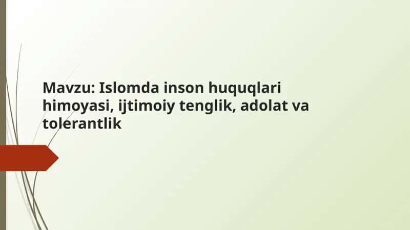 Islomda inson huquqlari himoyasi, ijtimoiy tenglik, adolat va tolerantlik