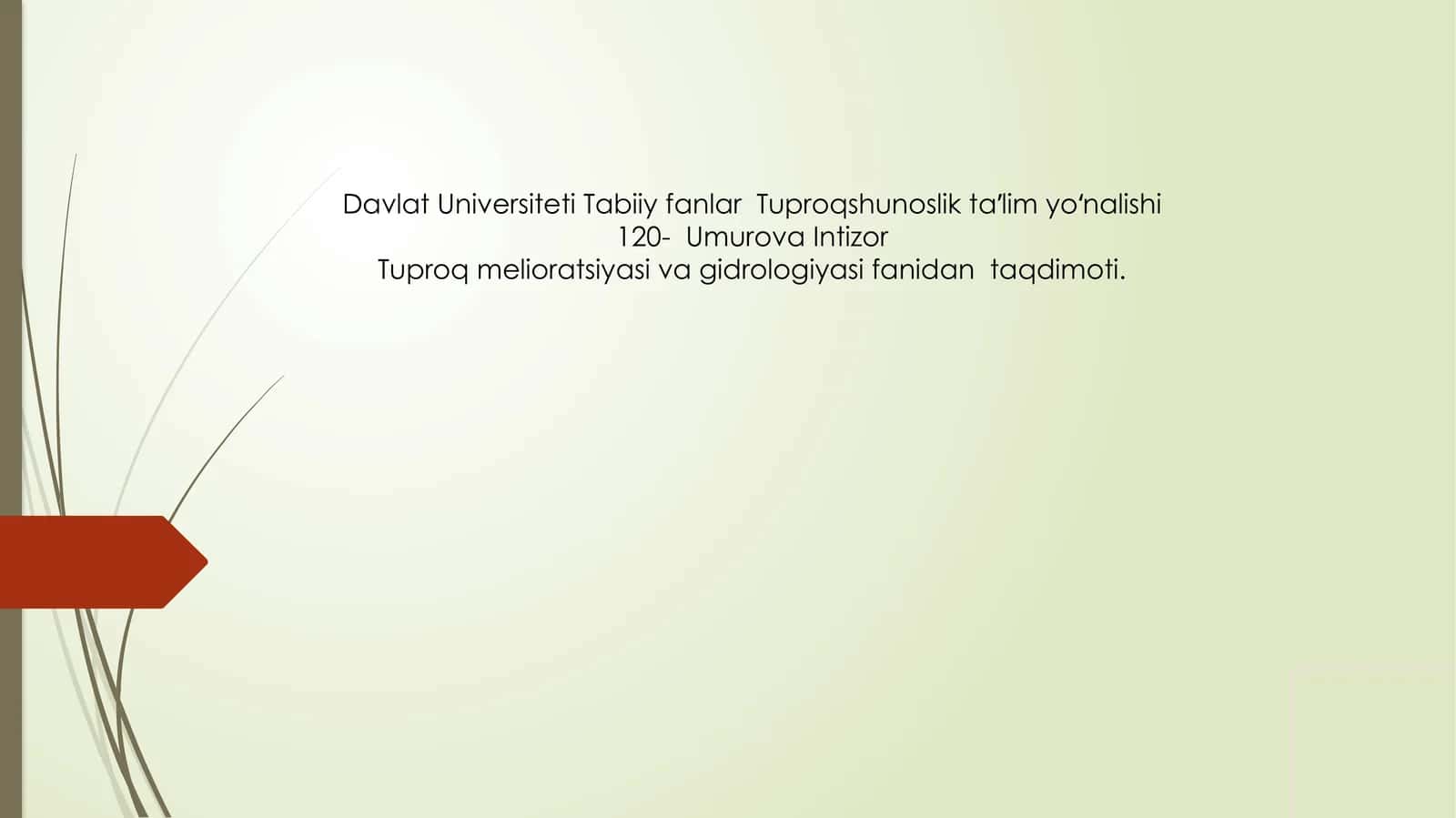 Oroldengizini hududi to'proqlarning ekologik vameliorativ holati