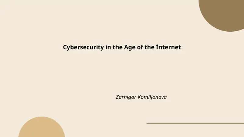 Cybersecurity in the Age of the İnternet