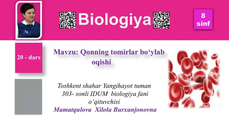 Qonning tomirlar bo‘ylab oqishi
