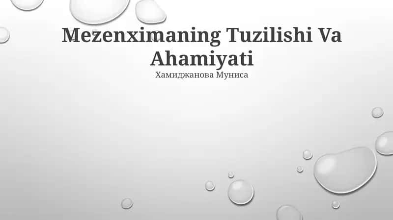 Mezenximaning Tuzilishi Va Ahamiyati