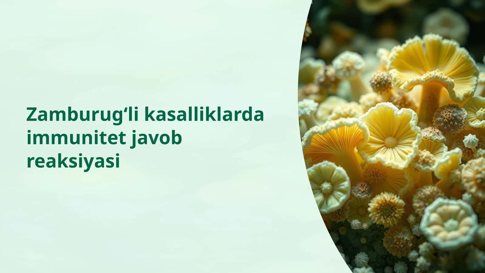 Zamburug‘li kasalliklarda immunitet javob reaksiyasi