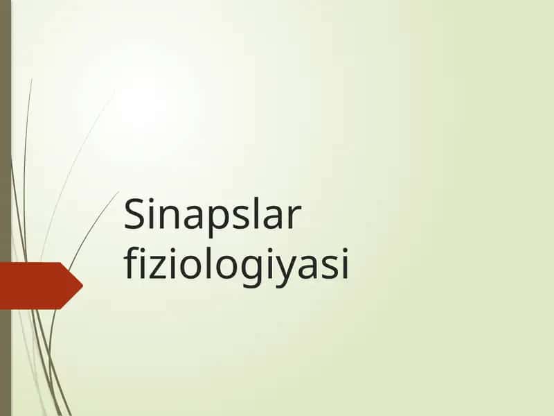 Sinapslar fiziologiyasi
