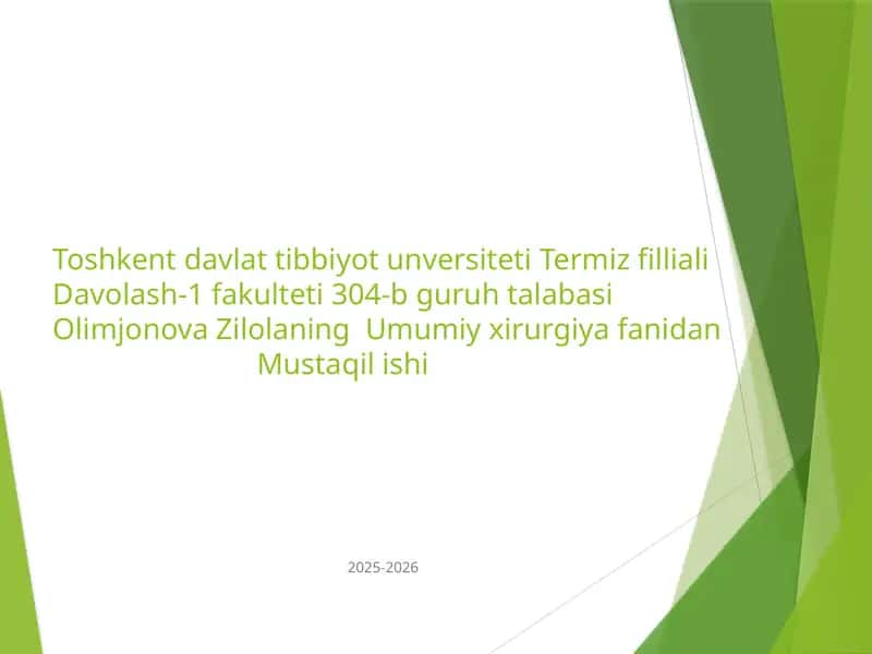 mustaqil ish