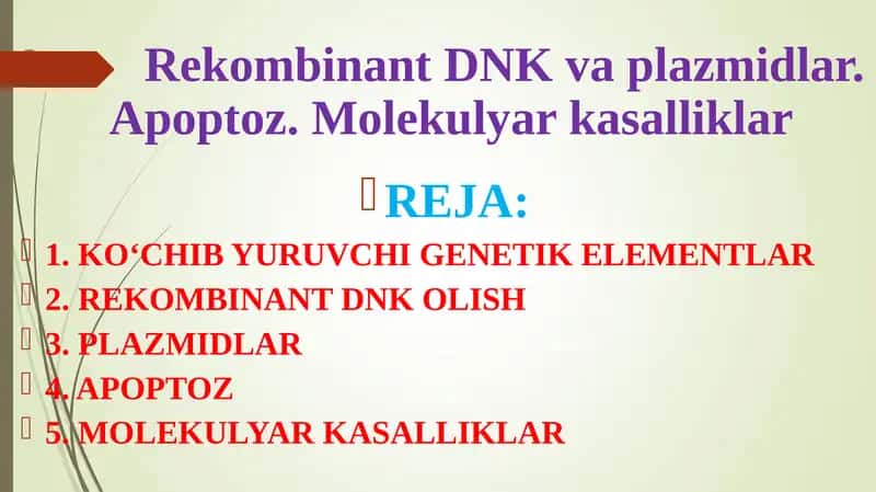 Rekombinant DNK va plazmidlar