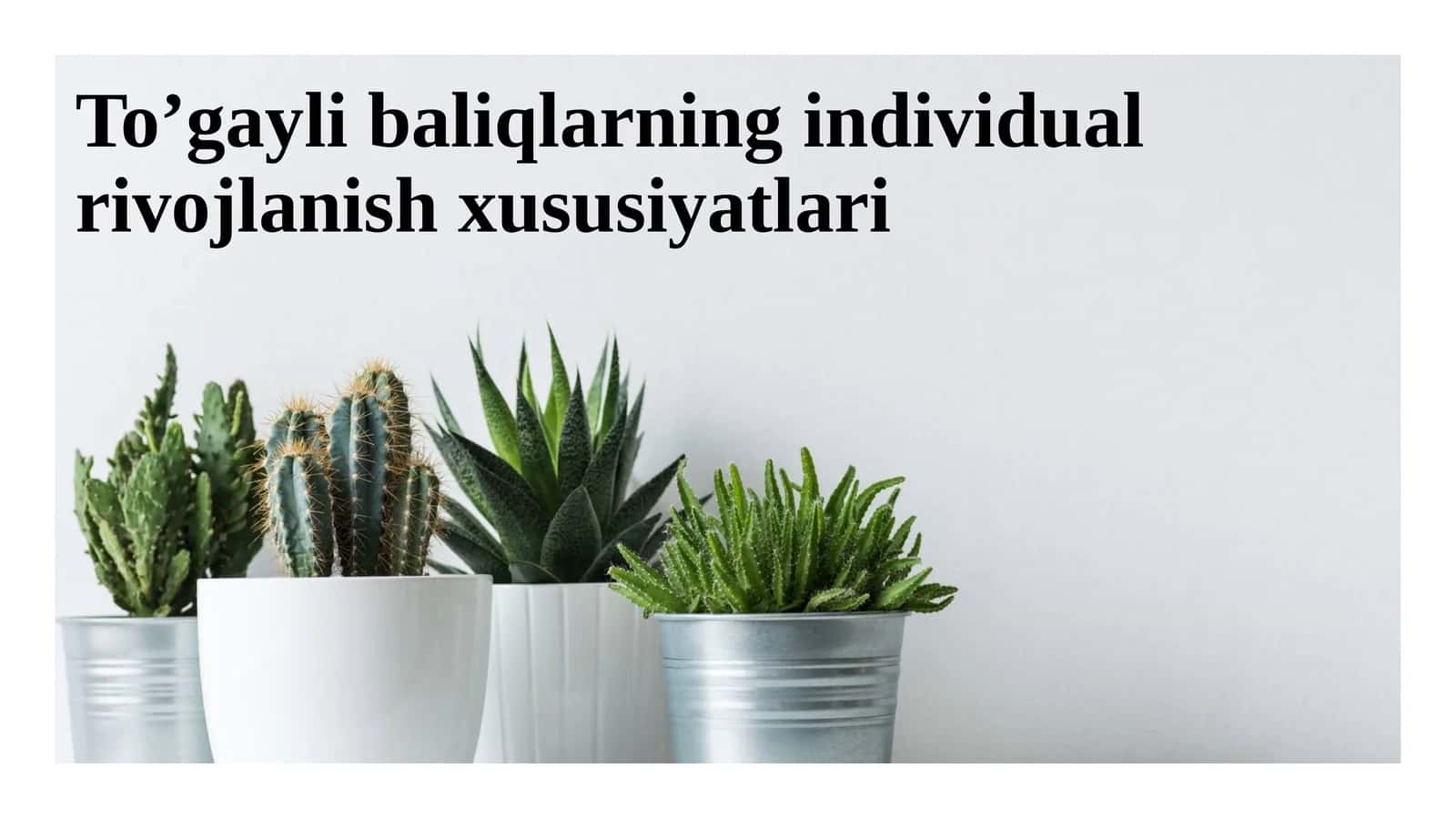 To’gayli baliqlarning individual rivojlanish xususiyatlari