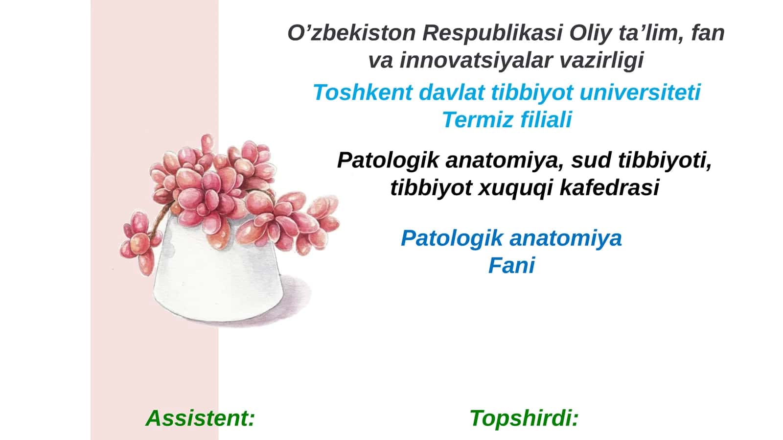 Orbita funksional anatomiyasi. Oʼsmalari. Kon'yuktiva, sklera va shox pardasi anatomiyasi va kasalliklari