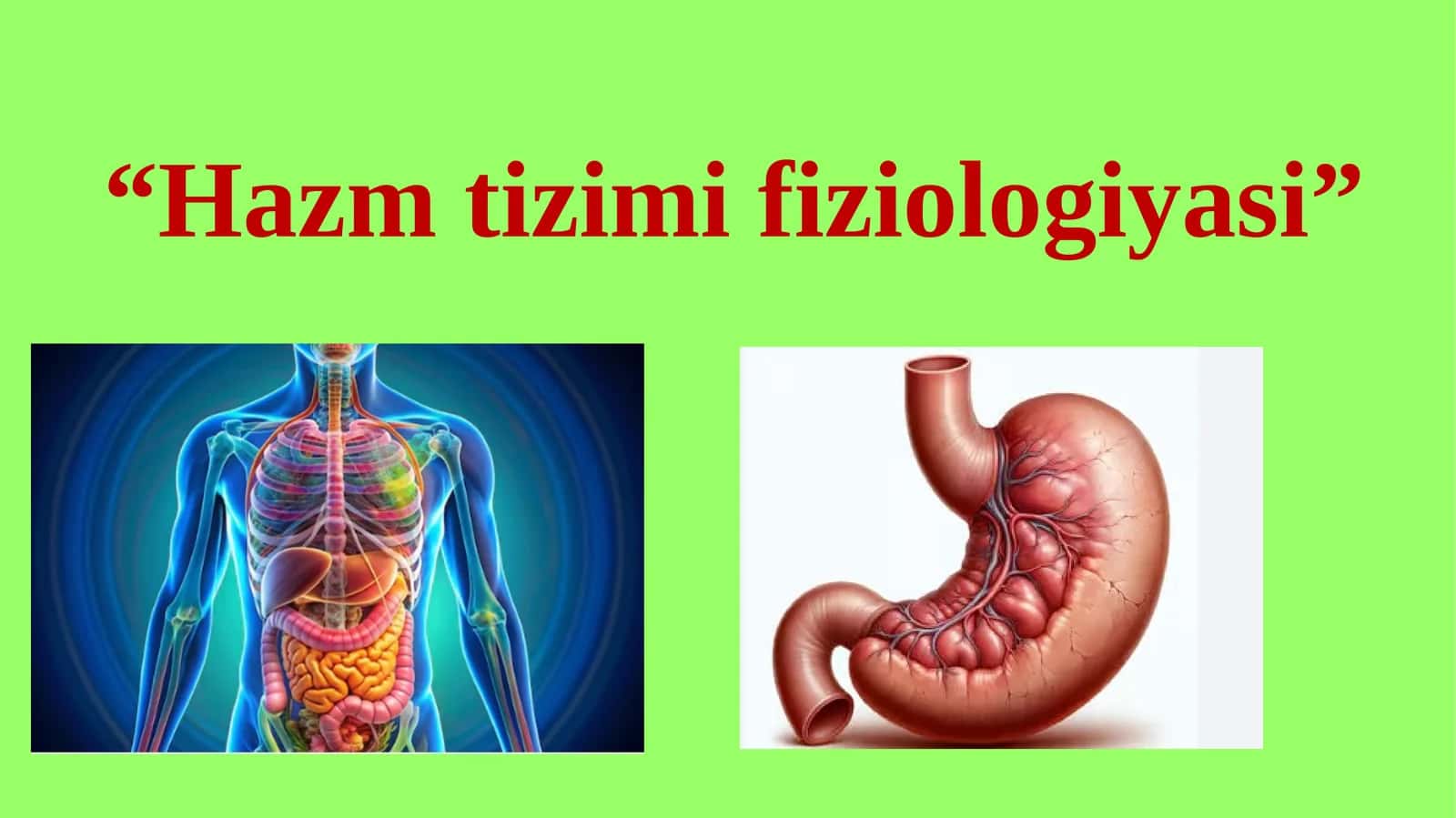 Hazm tizimi fiziologiyasi