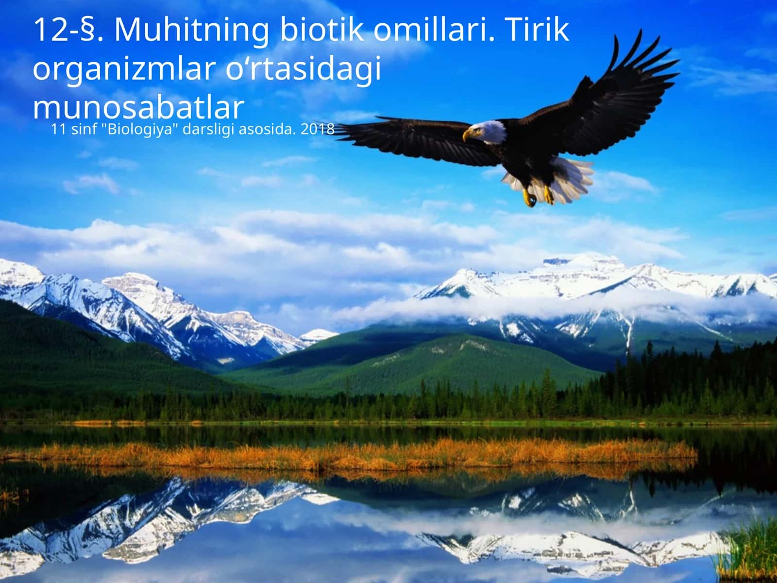 Muhitning biotik omillari