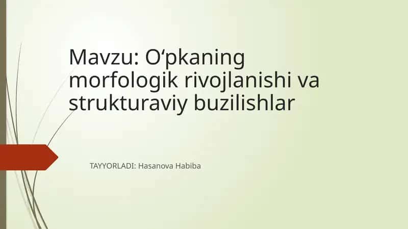 O‘pkaning morfologik rivojlanishi va strukturaviy buzilishlar