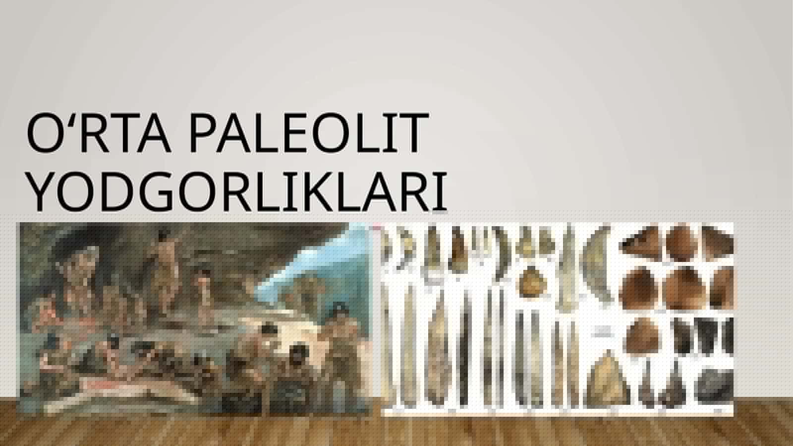 Oʻrta paleolit yodgorliklari