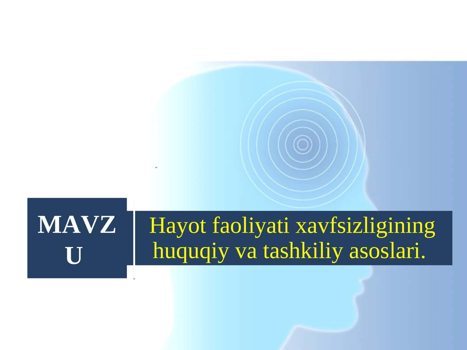 Hayot faoliyati xavfsizligining huquqiy va tashkiliy asoslari