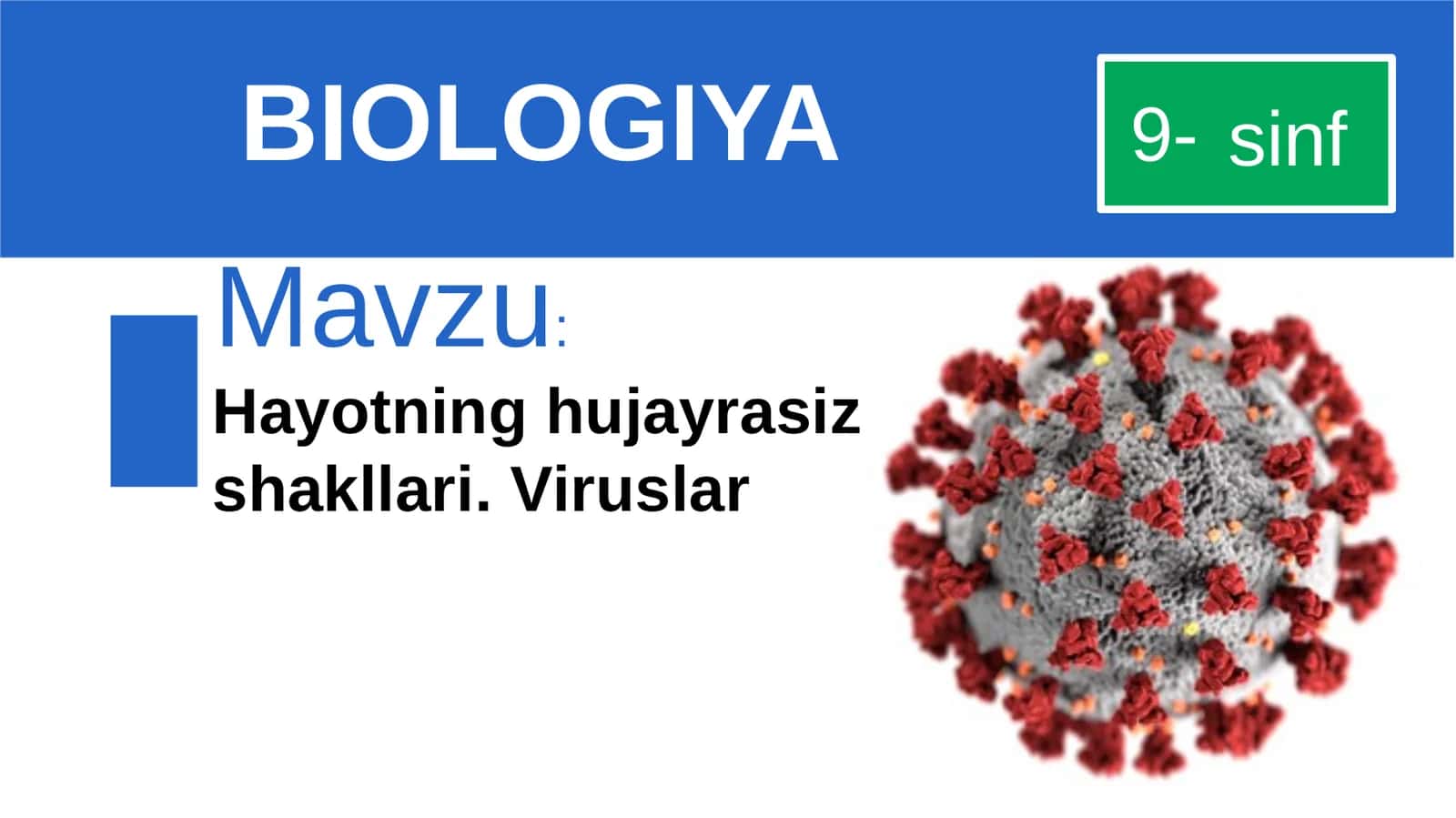 Viruslar