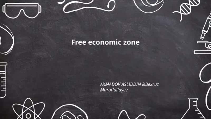 Free economic zone