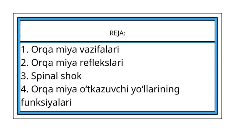 Orqa miya va maneviy uslubda oʻrganish jarayoniga ta'siri