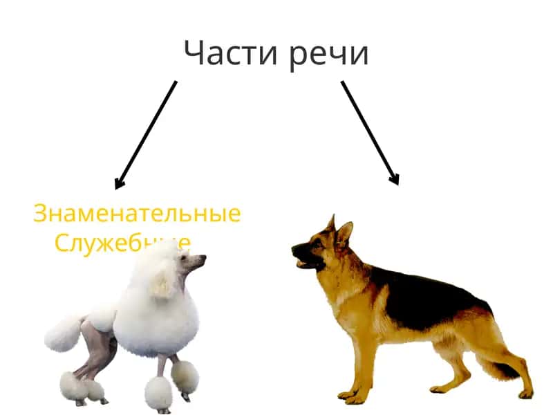 Части речи