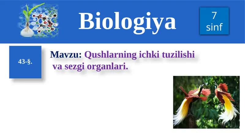 Qushlarning ichki tuzilishi