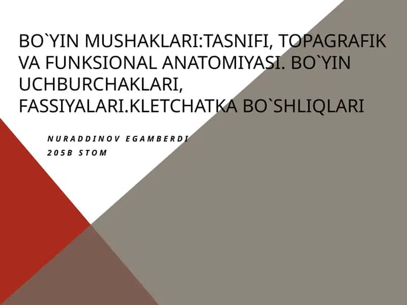 Bo`yinmushaklari:tasnifi,topagrafikvafunksionalanatomiyasi