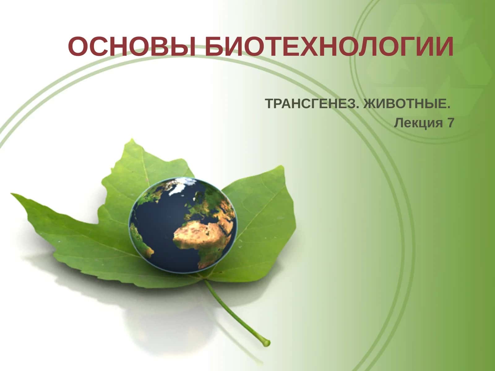 ОСНОВЫ БИОТЕХНОЛОГИИ