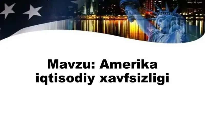 Amerika iqtisodiy xavfsizligi