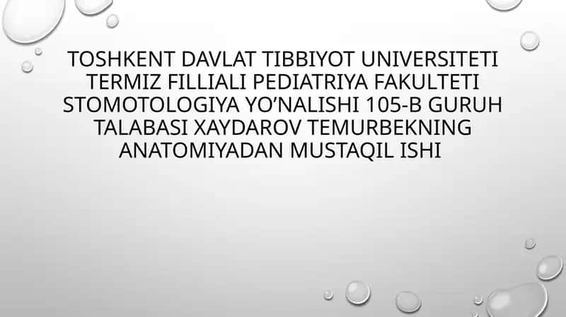 Hazm bezlarining umumiy tavsifi