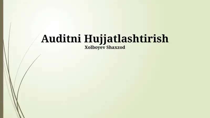Auditni Hujjatlashtirish