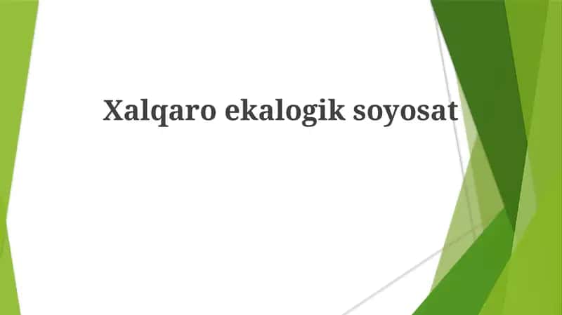 Xalqaro ekologik siyosat