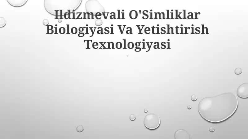 Ildizmevali O'Simliklar Biologiyasi Va Yetishtirish Texnologiyasi