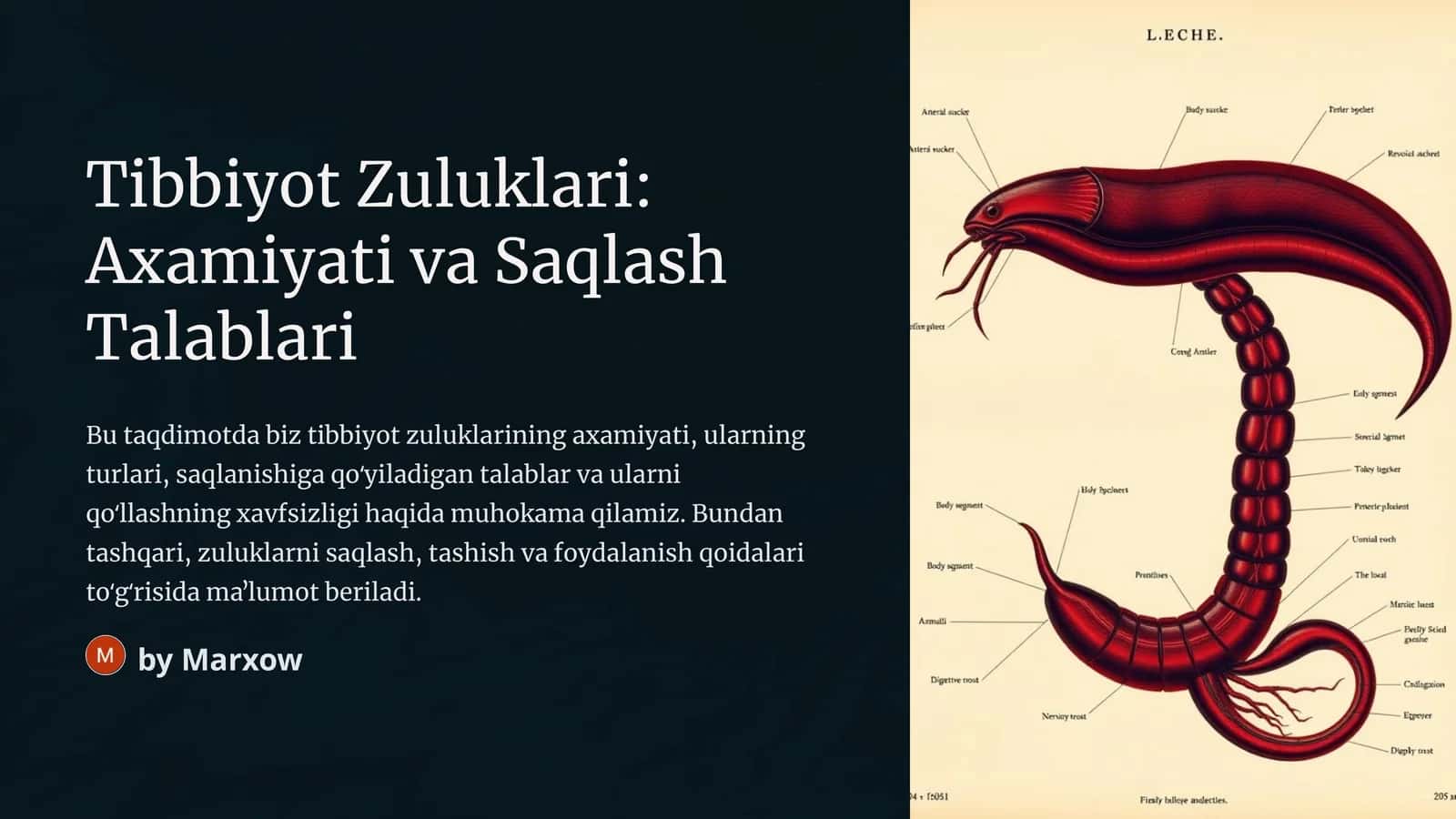 Tibbiyot Zuluklari: Axamiyati va Saqlash Talablari