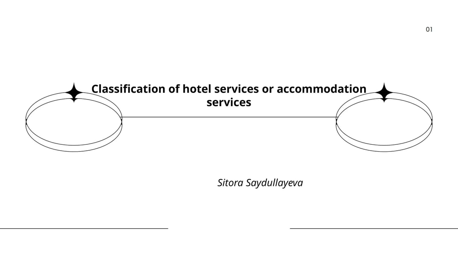 Classification of hotel services or accommodation services
