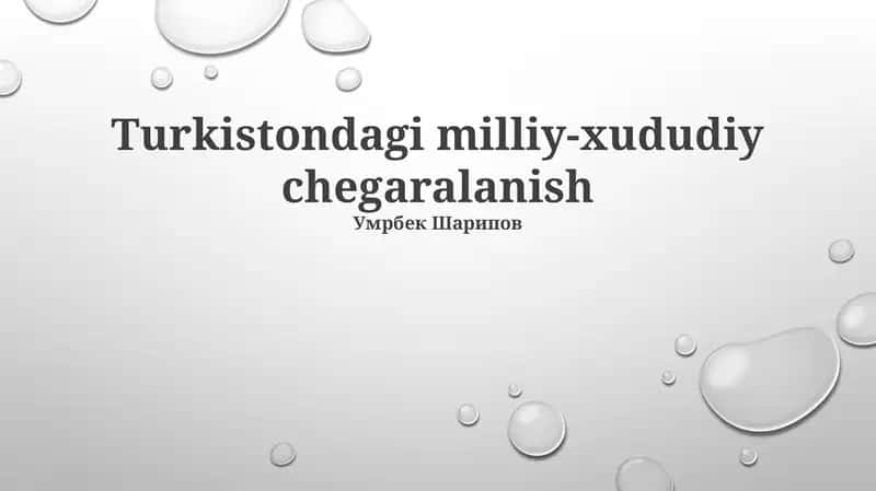 Turkistondagi milliy-xududiy chegaralanish